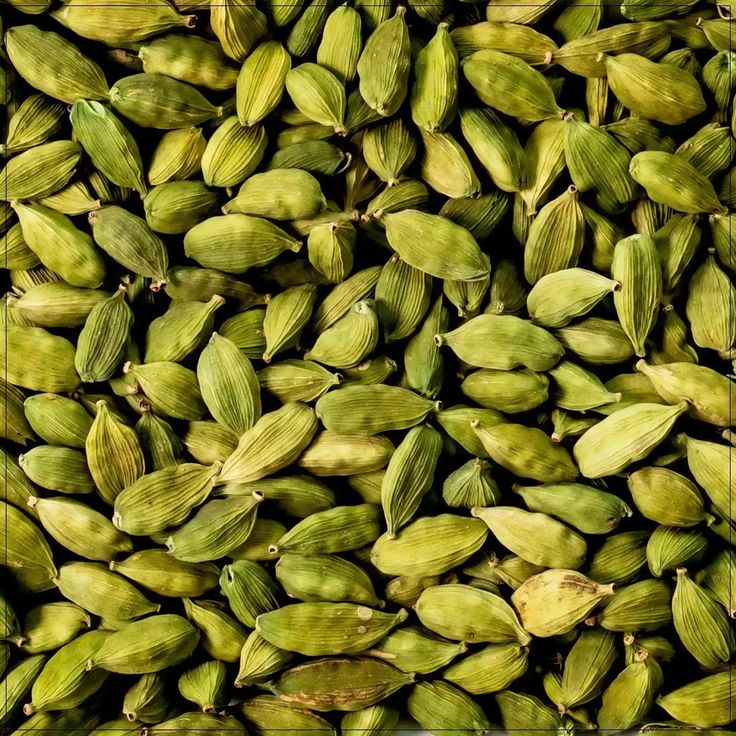 Cardamom